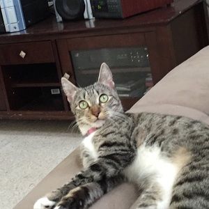 Meet your Posher, Kamille